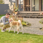 Take the stress out of yard care with professional dog poop removal Davis.