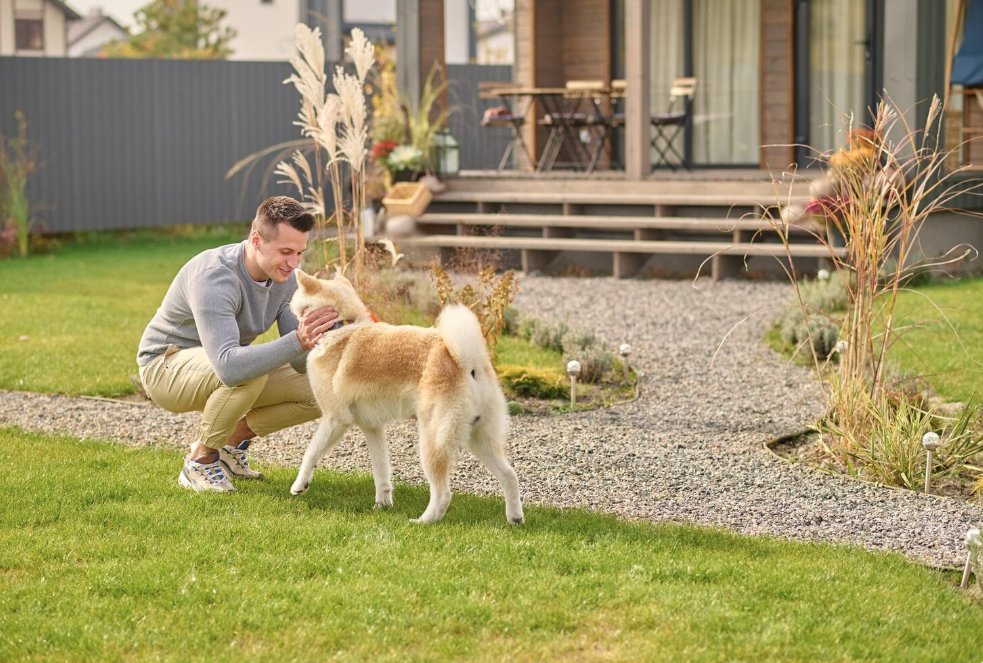 Take the stress out of yard care with professional dog poop removal Davis.