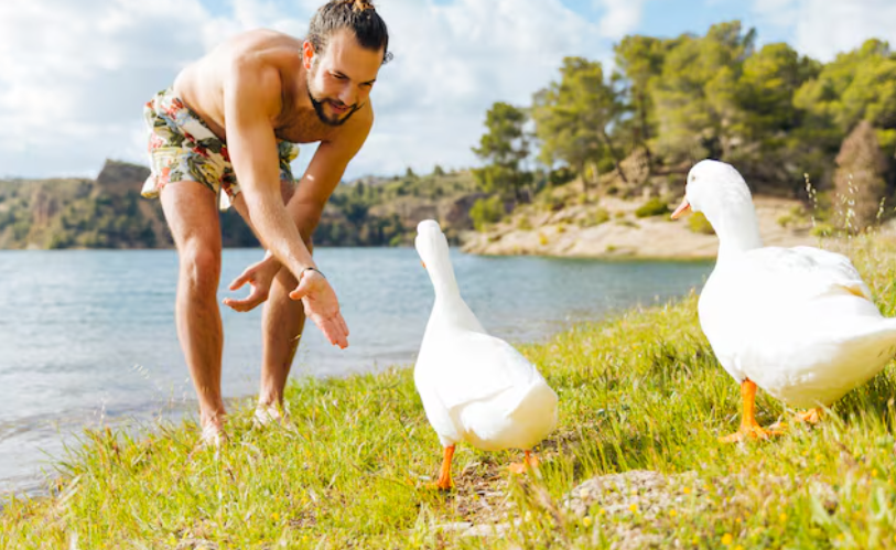 How to Choose the Best Duck Calls for Beginners and Pros