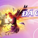 The Evolution of Online Gaming and the Rise of vesovn