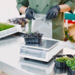 The Future of Sustainable Kitchen Management: Elevating Food Safety and Storage Standards
