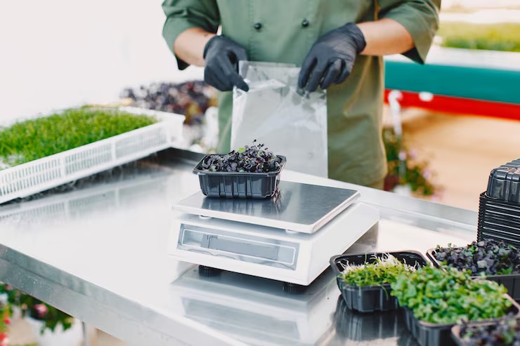 The Future of Sustainable Kitchen Management: Elevating Food Safety and Storage Standards